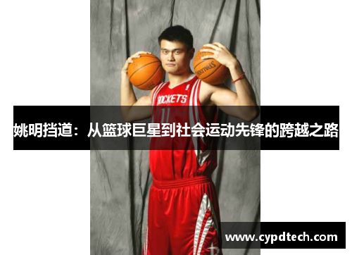 姚明挡道：从篮球巨星到社会运动先锋的跨越之路