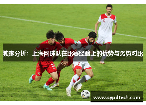 独家分析：上海网球队在比赛经验上的优势与劣势对比